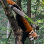 The Value Behind Long-Tail Keywords