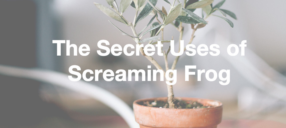 The Secret Uses Of Screaming Frog