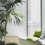 4 Easy Ways To Optimize Your Shopify Site for Ultimate Reach