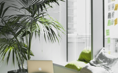 4 Easy Ways To Optimize Your Shopify Site for Ultimate Reach