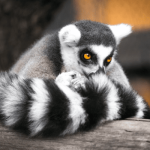 The Power Of Search Intent + Long Tail Keywords