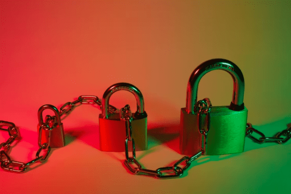 locks interconnected by chain