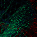 Data: Why More is Sometimes Worse